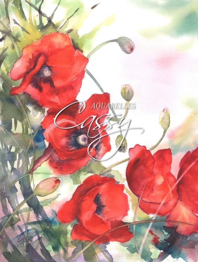 Coquelicots (41 cm X 31 cm)